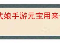 武娘手游元宝用来干什么,武娘元宝使用攻略