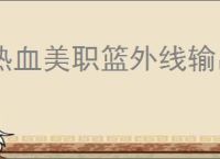 热血美职篮外线输出流怎么玩,热血美职篮外线输出搭配推荐