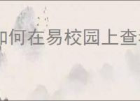 如何在易校园上查看消费记录
