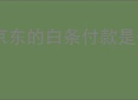 京东的白条付款是什么意思？白条付款的优势与体验