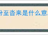纷至沓来是什么意思