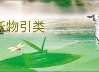 托物引类