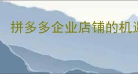 拼多多企业店铺的机遇，拼多多企业店铺的特点是什么？