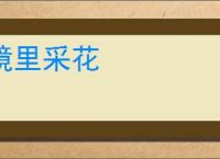 镜里采花