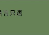 片言只语