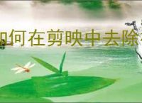 如何在剪映中去除视频原声音轨教程