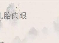 凡胎肉眼