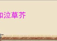 如泣草芥