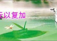 无以复加