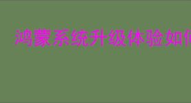 鸿蒙系统升级体验如何测评