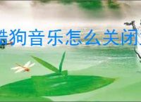 酷狗音乐怎么关闭主播开播通知