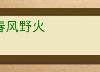 春风野火