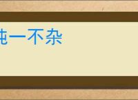 纯一不杂