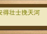 安得壮士挽天河