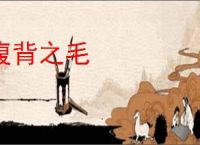 腹背之毛