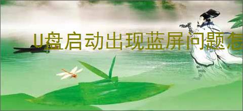 U盘启动出现蓝屏问题怎么回事