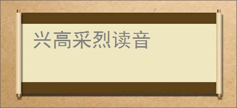 兴高采烈读音