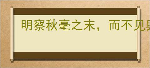 明察秋毫之末，而不见舆薪
