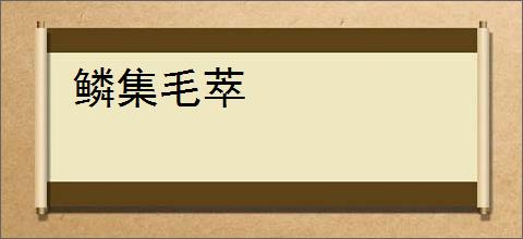 鳞集毛萃
