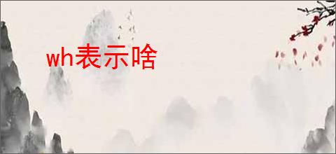 wh表示啥