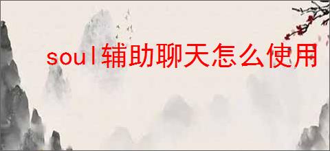 soul辅助聊天怎么使用