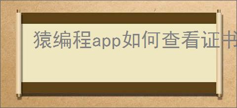 猿编程app如何查看证书