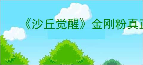 《沙丘觉醒》金刚粉真正出处