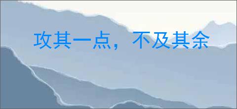 攻其一点，不及其余
