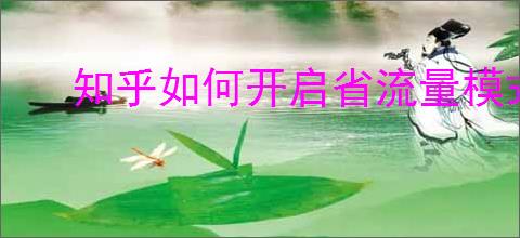 知乎如何开启省流量模式