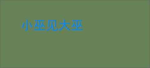小巫见大巫