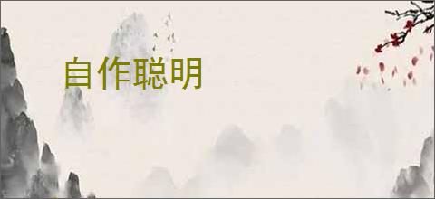 自作聪明