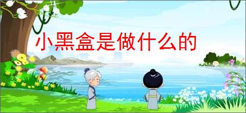 小黑盒是做什么的