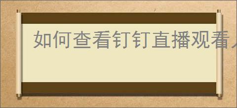 如何查看钉钉直播观看人员