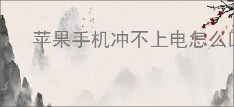 苹果手机冲不上电怎么回事