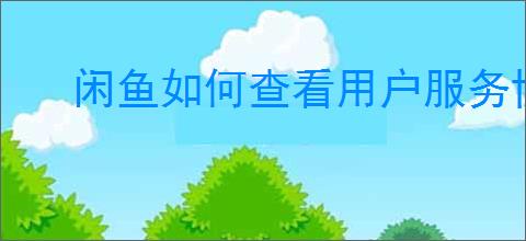 闲鱼如何查看用户服务协议
