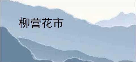 柳营花市