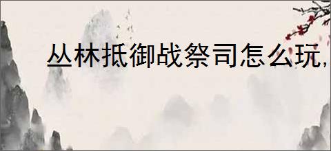 丛林抵御战祭司怎么玩,丛林抵御战祭司装备搭配推荐