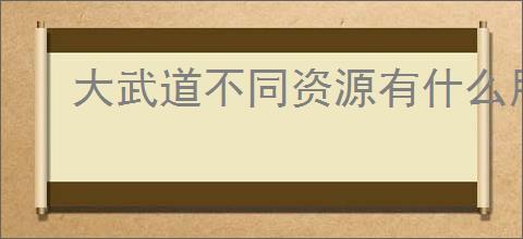 大武道不同资源有什么用,大武道核心资源获取攻略