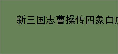 新三国志曹操传四象白虎第五关怎么过,新三国志曹操传四象白虎第五关阵容