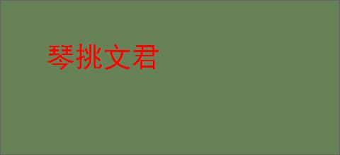 琴挑文君