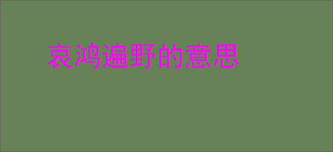 哀鸿遍野的意思