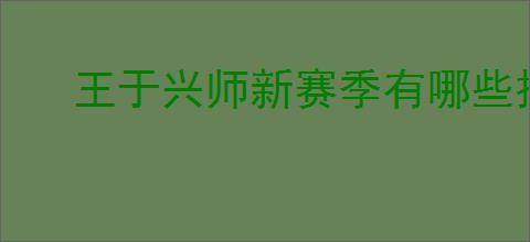 王于兴师新赛季有哪些技能,王于兴师百家争鸣新技能一览