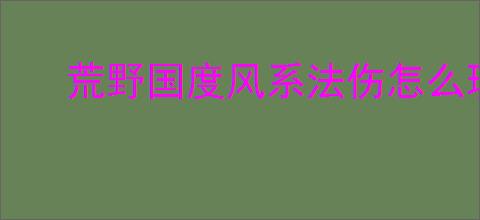 荒野国度风系法伤怎么玩,荒野国度风系法伤队搭配攻略