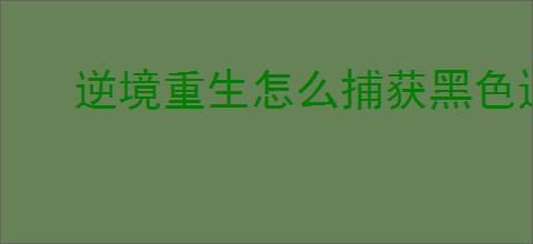 逆境重生怎么捕获黑色迅猛龙,逆境重生黑色迅猛龙位置一览