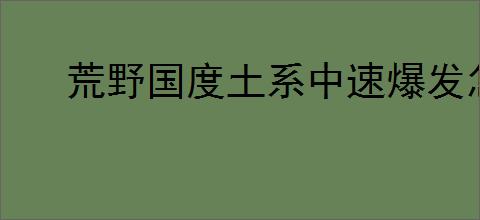 荒野国度土系中速爆发怎么玩,荒野国度土系中速爆发队搭配攻略