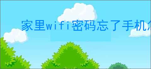 家里wifi密码忘了手机怎么查