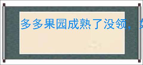 多多果园成熟了没领，如何找到已经错过的果实？