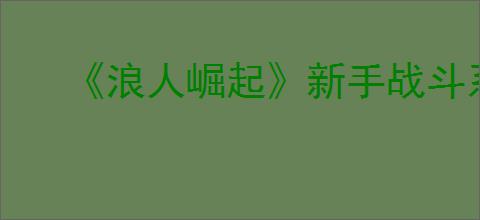 《浪人崛起》新手战斗系统介绍