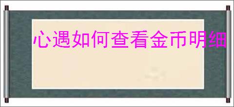 心遇如何查看金币明细