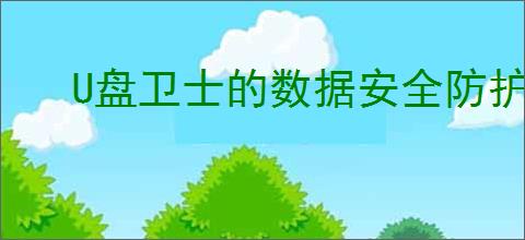U盘卫士的数据安全防护技巧